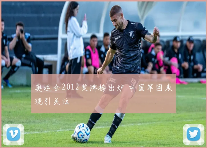 奥运会2012奖牌榜出炉 中国军团表现引关注