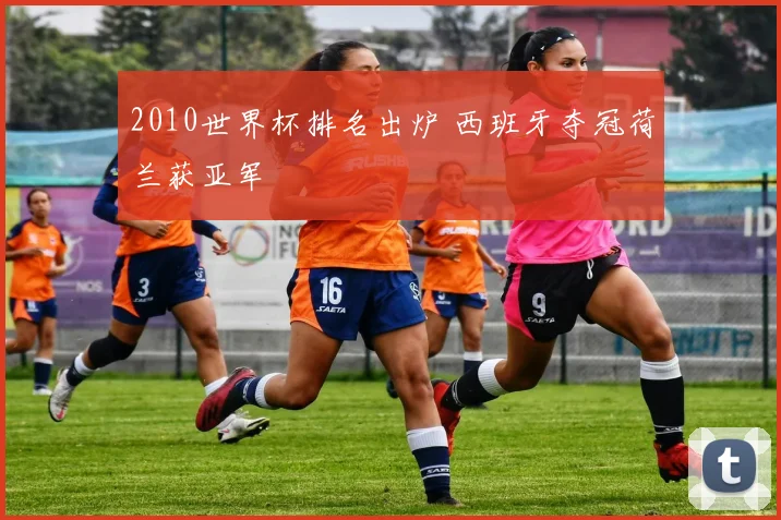 2010世界杯排名出炉 西班牙夺冠荷兰获亚军