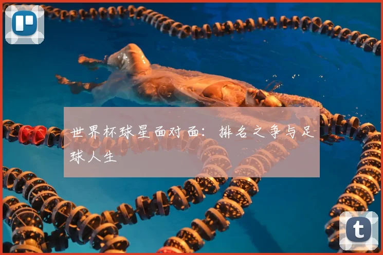 世界杯球星面对面：排名之争与足球人生
